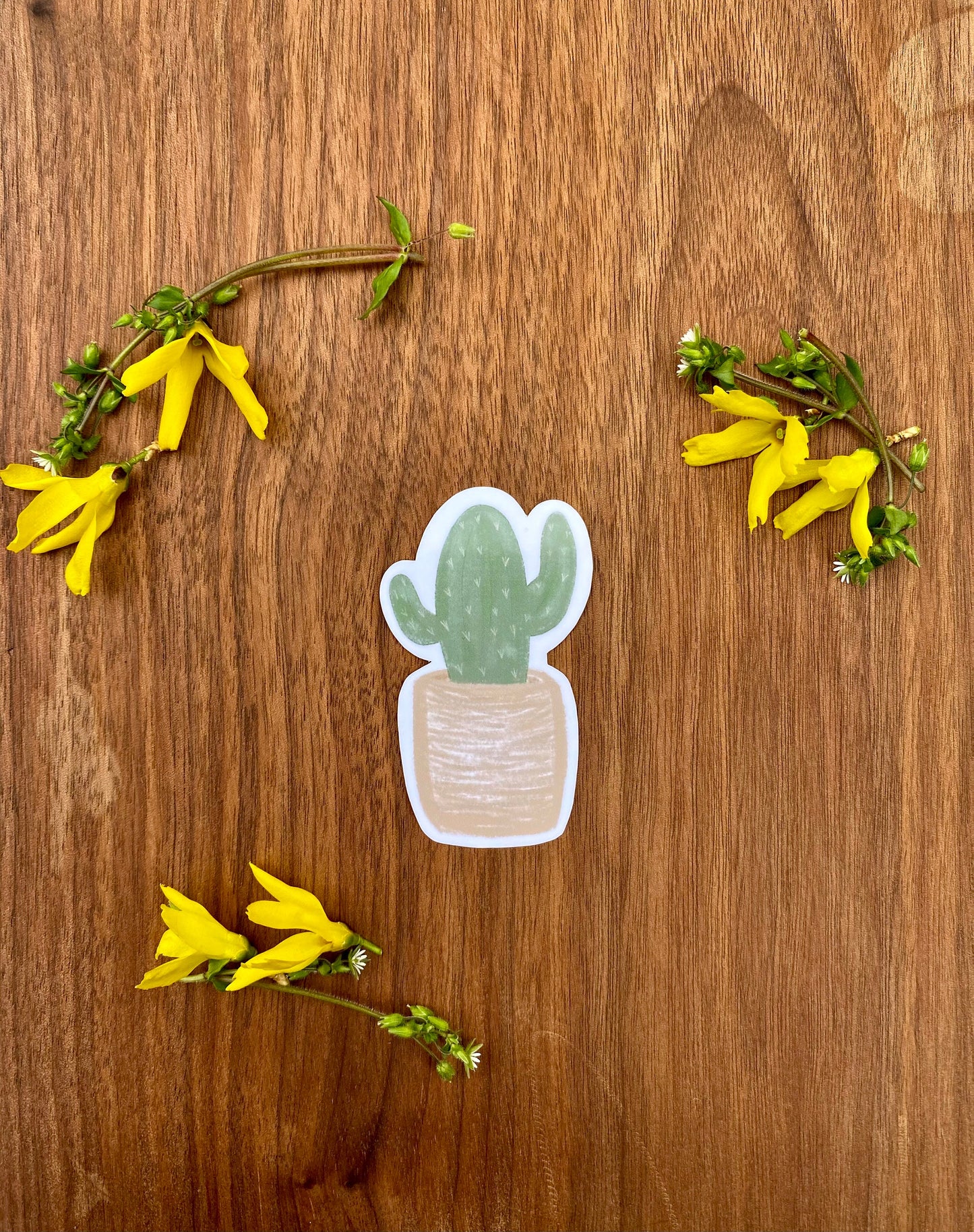 Minimal cactus sticker | weatherproof die-cut stickers | 2x3