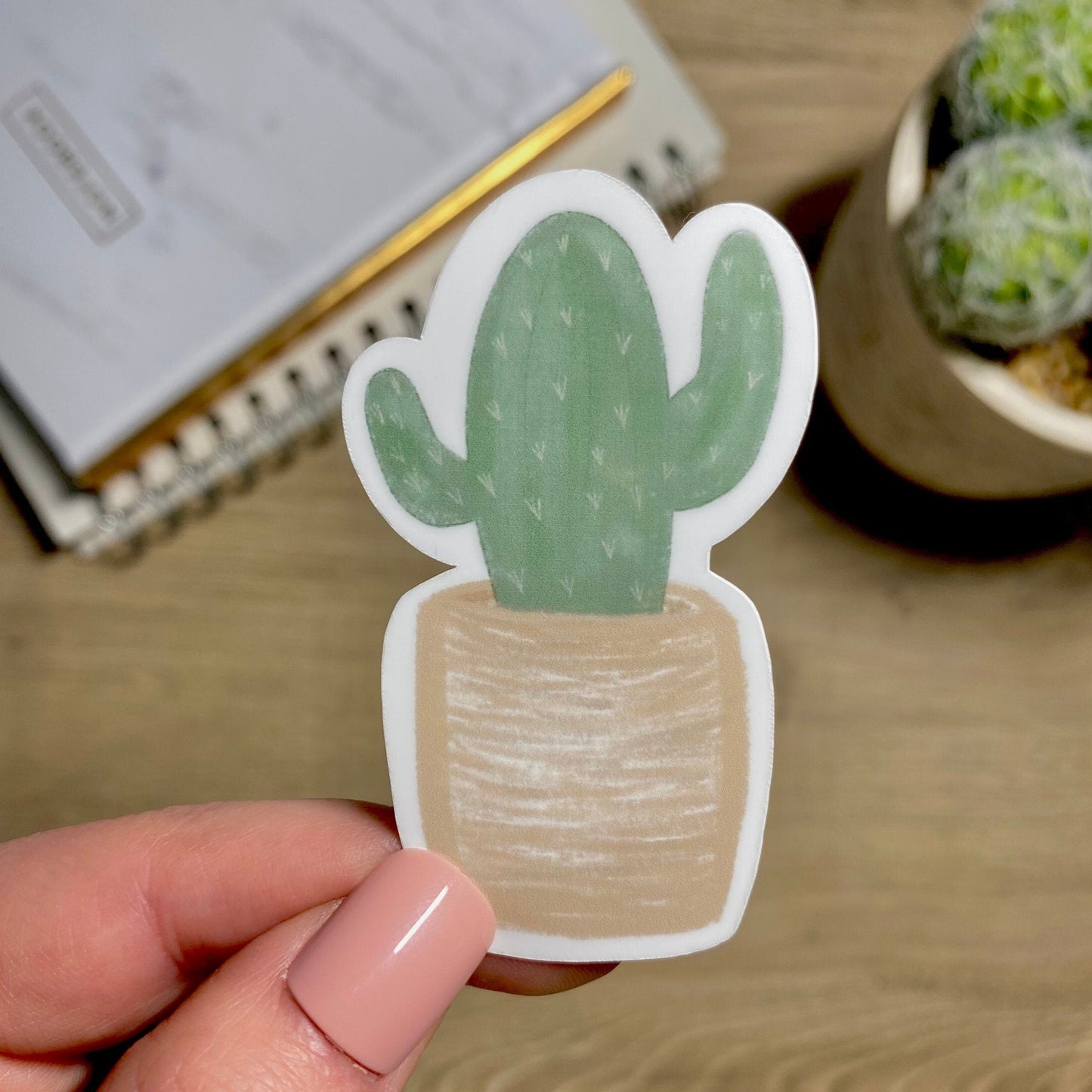 Minimal cactus sticker | weatherproof die-cut stickers | 2x3